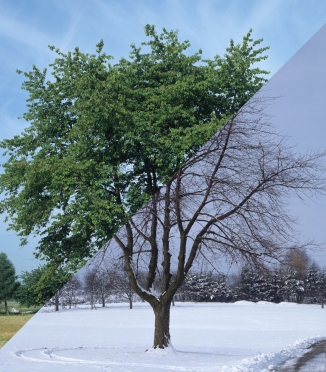 Sängkläder för vinter och sommar: vad välja?